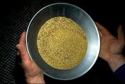 buy yellow gold dust at affordable price