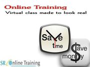 Best Informatica Online Training 