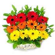 we delver flowers and gifts to all over india.